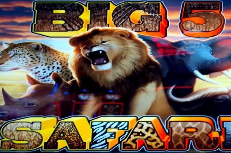 Paylines and Big 5 Safari Slot